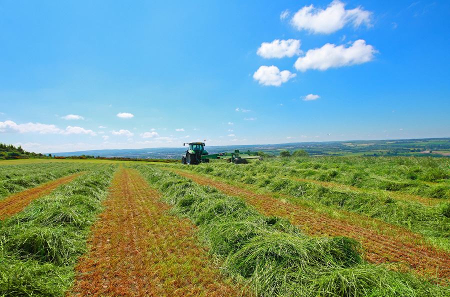 Image de la catégorie Herses de prairies